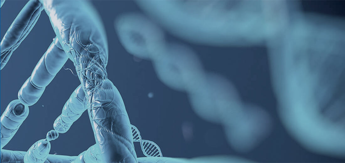 Assista ao nosso vídeo institucional