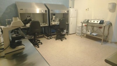 Cenatte Embriões finaliza 2017 com 5 parceiros internacionais