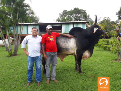 Cenatte e Fazenda Bela Vista celebram sucesso da parceria
