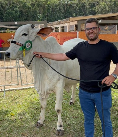 FAZENDA NELORE BENFICA: resultados que  reforçam nossa história de excelência
